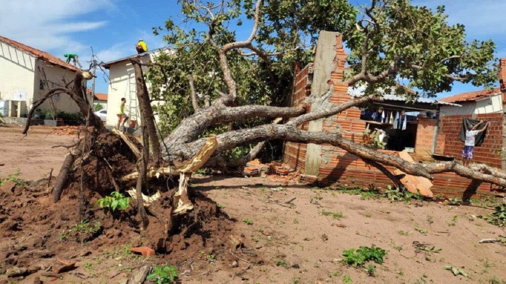Estado deve destinar quase R$ 430 mil a 200 famílias afetadas por temporal em Palmas