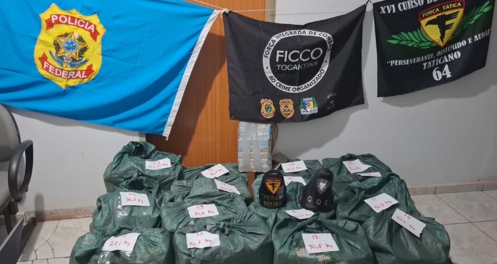Entenda a prisão do motorista suspeito de transportar 467 kg de cocaína em caminhão carregado de abacaxi