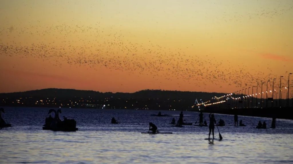 Tocantinenses terão mais quatro feriados prolongados até o fim de 2026; veja datas